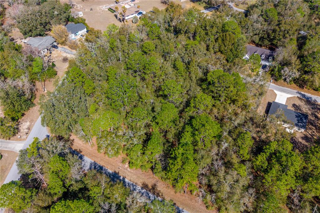 Tbd Northeast 2nd Street Williston, FL 32696 - Photo 5 of 6 a view of a garden with plants