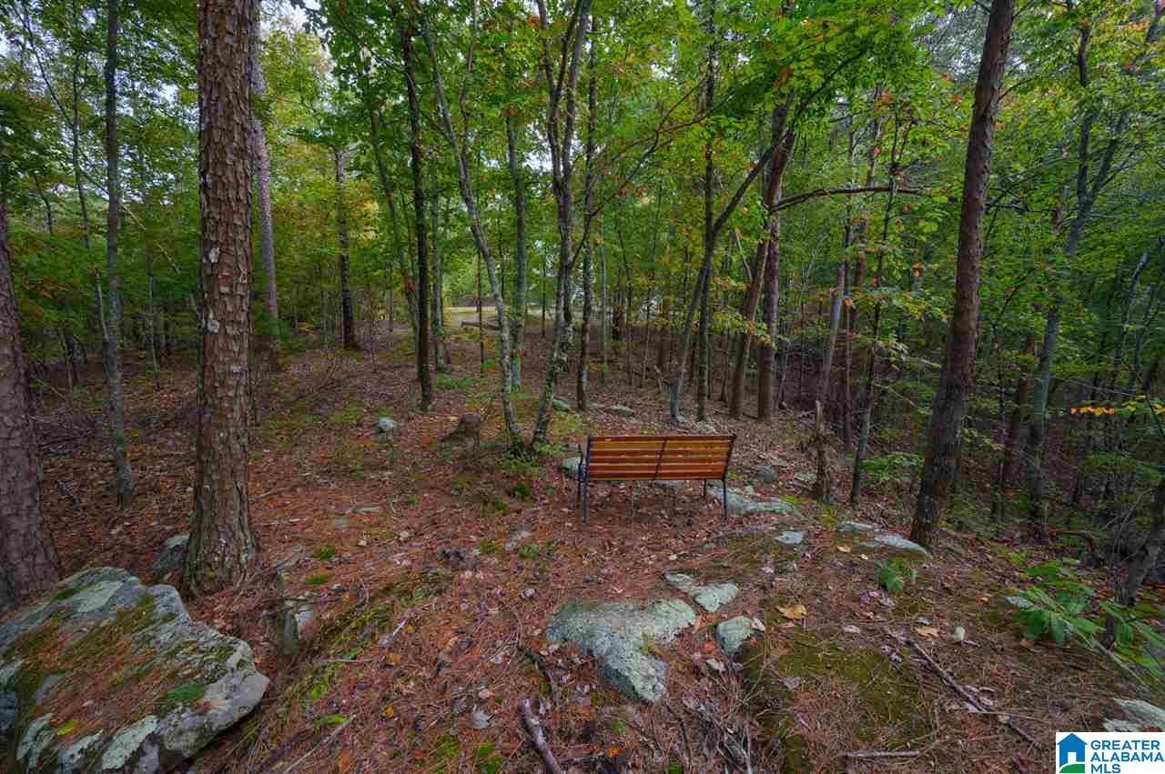 860 Country Road Warrior, AL 35180 - Photo 9 of 41 Gallery Image 9