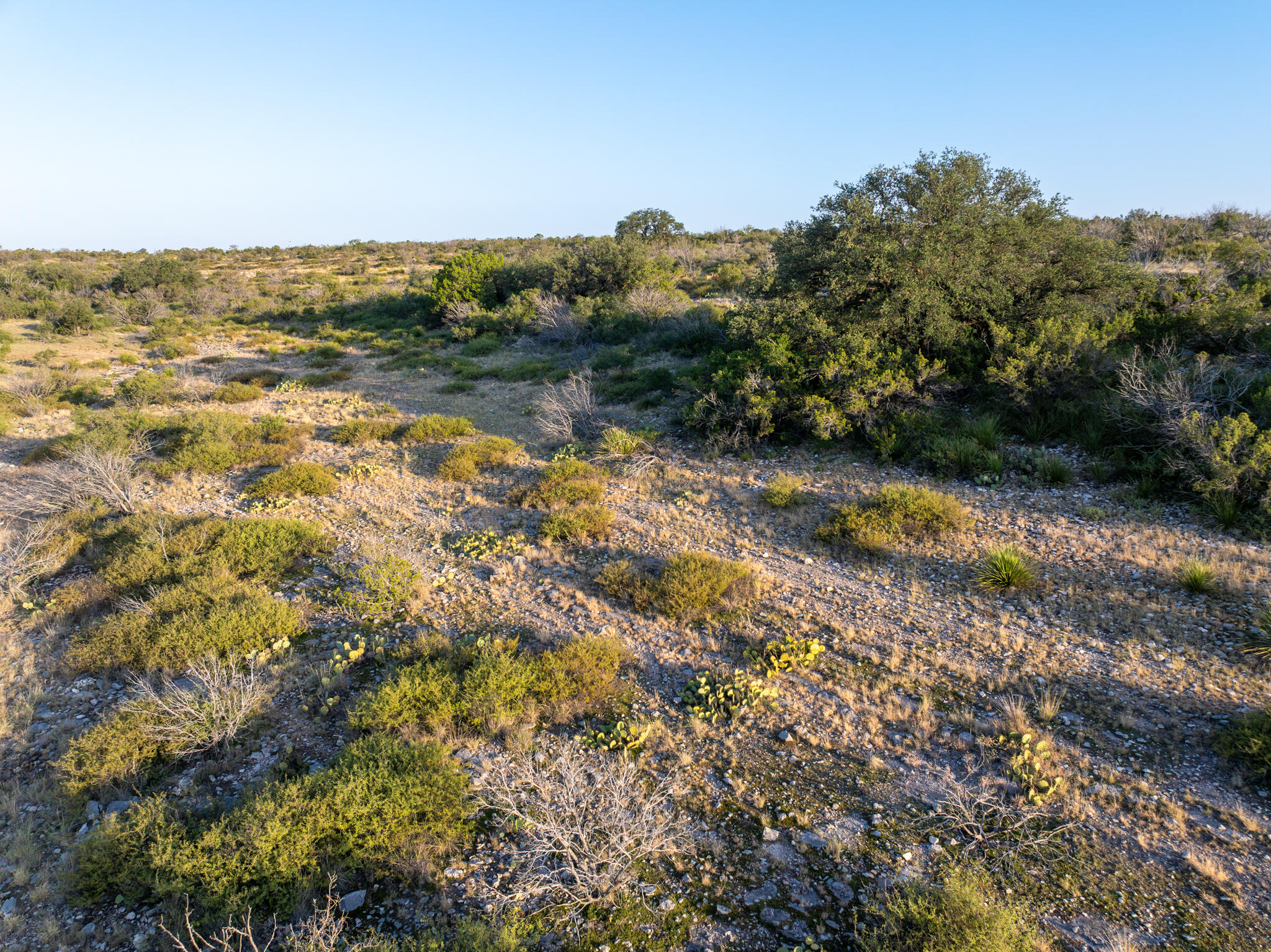 Tbd Windmill Road Ozona, TX 76943 - Photo 15 of 26 Leonard Ranch-11