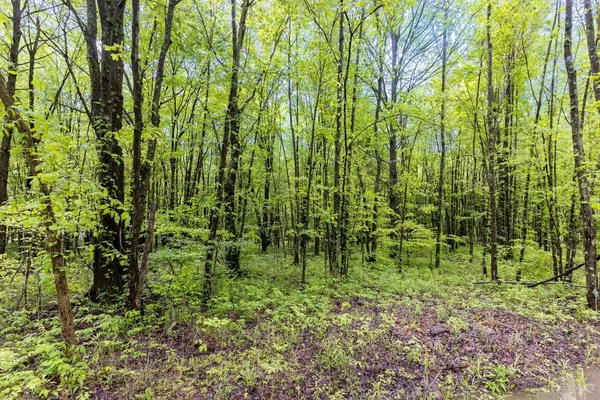 $130,000 | 6149 Belfast Road, Goshen, OH 45122