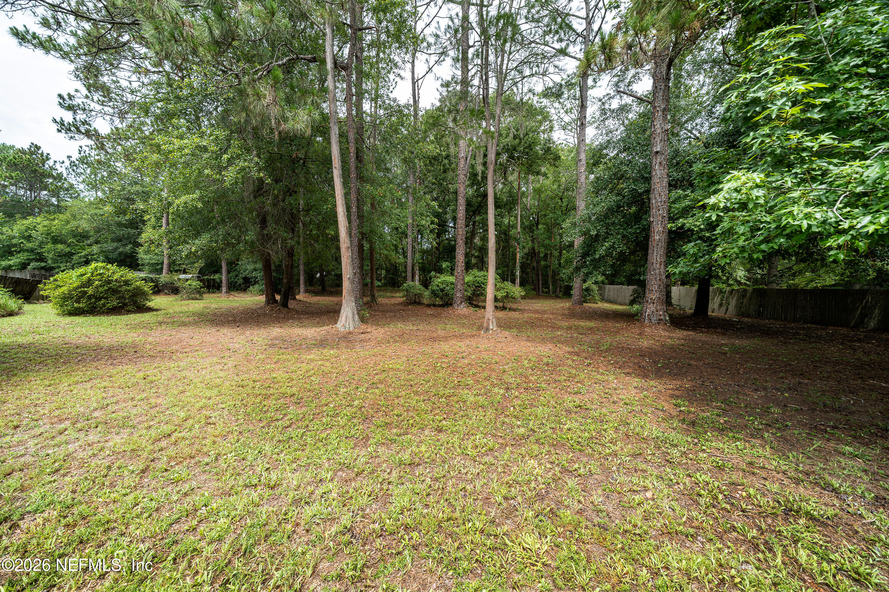1170 Cactus Cut Road Middleburg, FL 32068 - Photo 30 of 40 Ext Backyard b