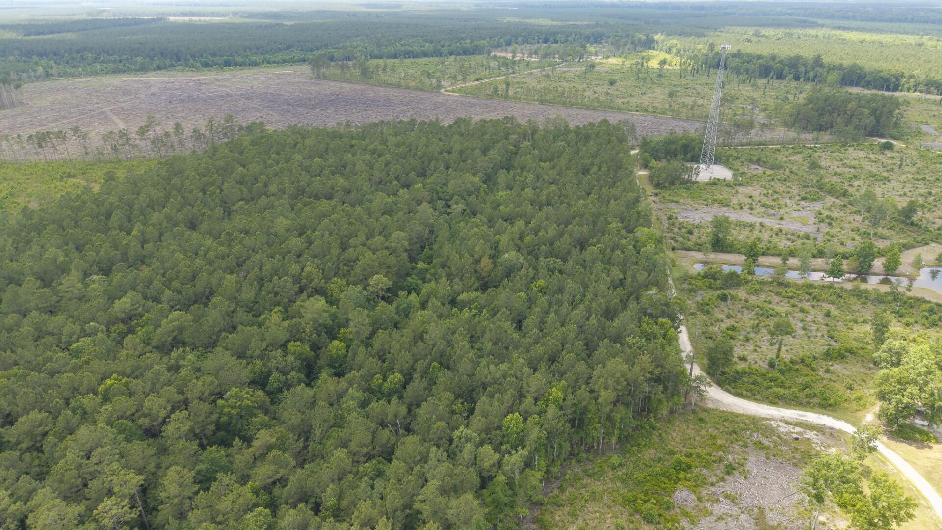 6222 Saints Delight Road, Unit LOT 8 Georgetown, SC 29440 - Photo 8 of 26