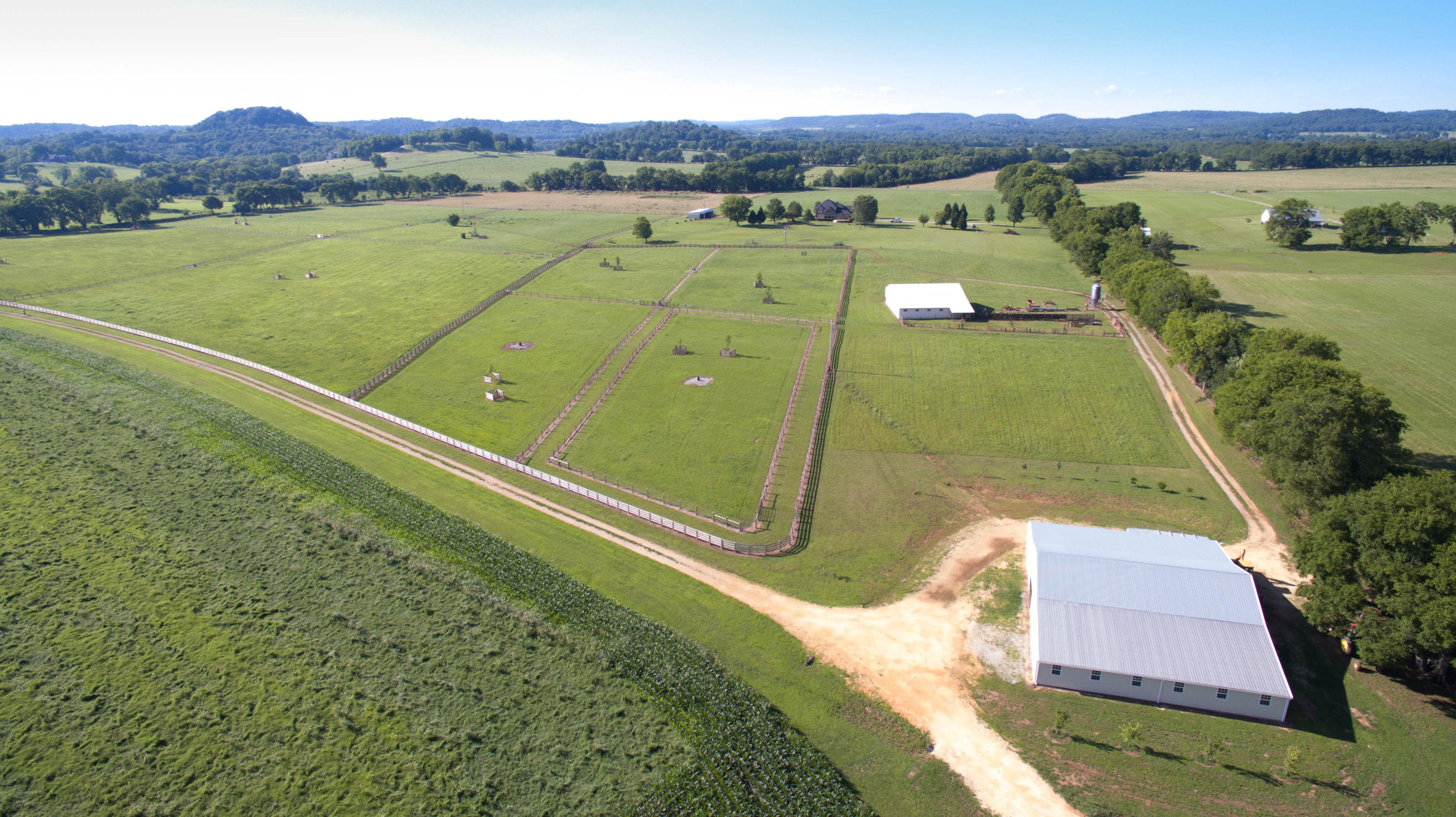 3977 Rippey Lake Road Mount Pleasant, TN 38474 - Photo 4 of 27 6 (6 of 12)