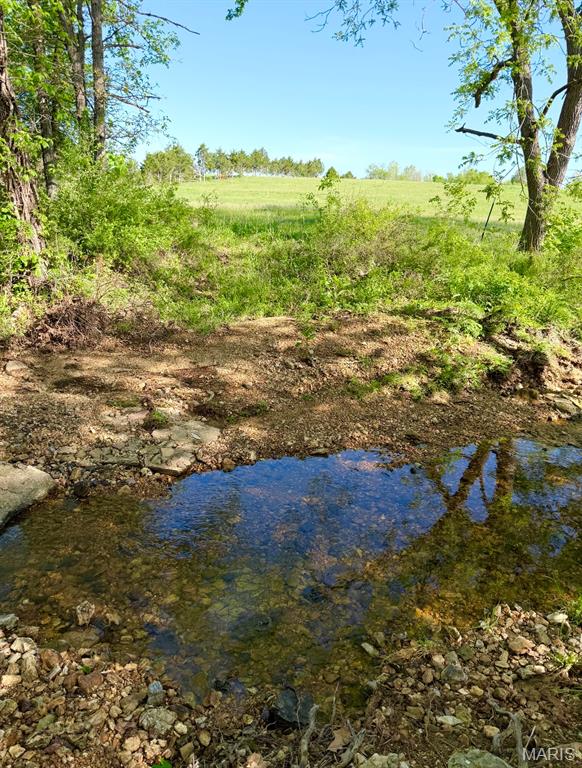Tbd Van Horn Road Bland, MO 65014 - Photo 20 of 47
