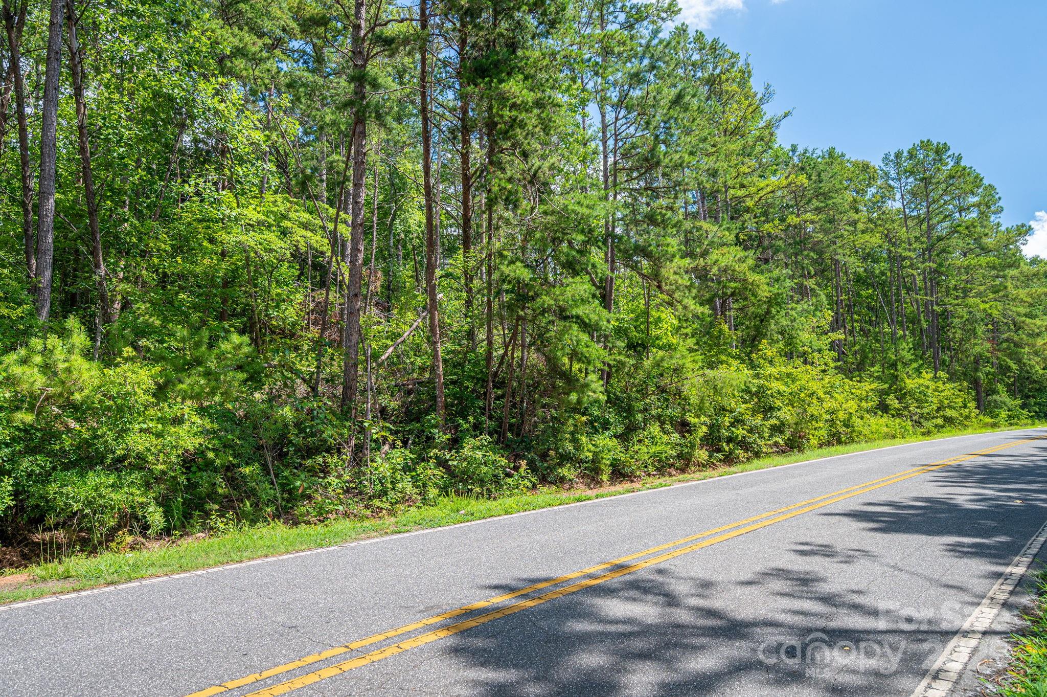 Lot 10 McDade Road Forest City, NC 28043 - Photo 4 of 11 a view of a garden