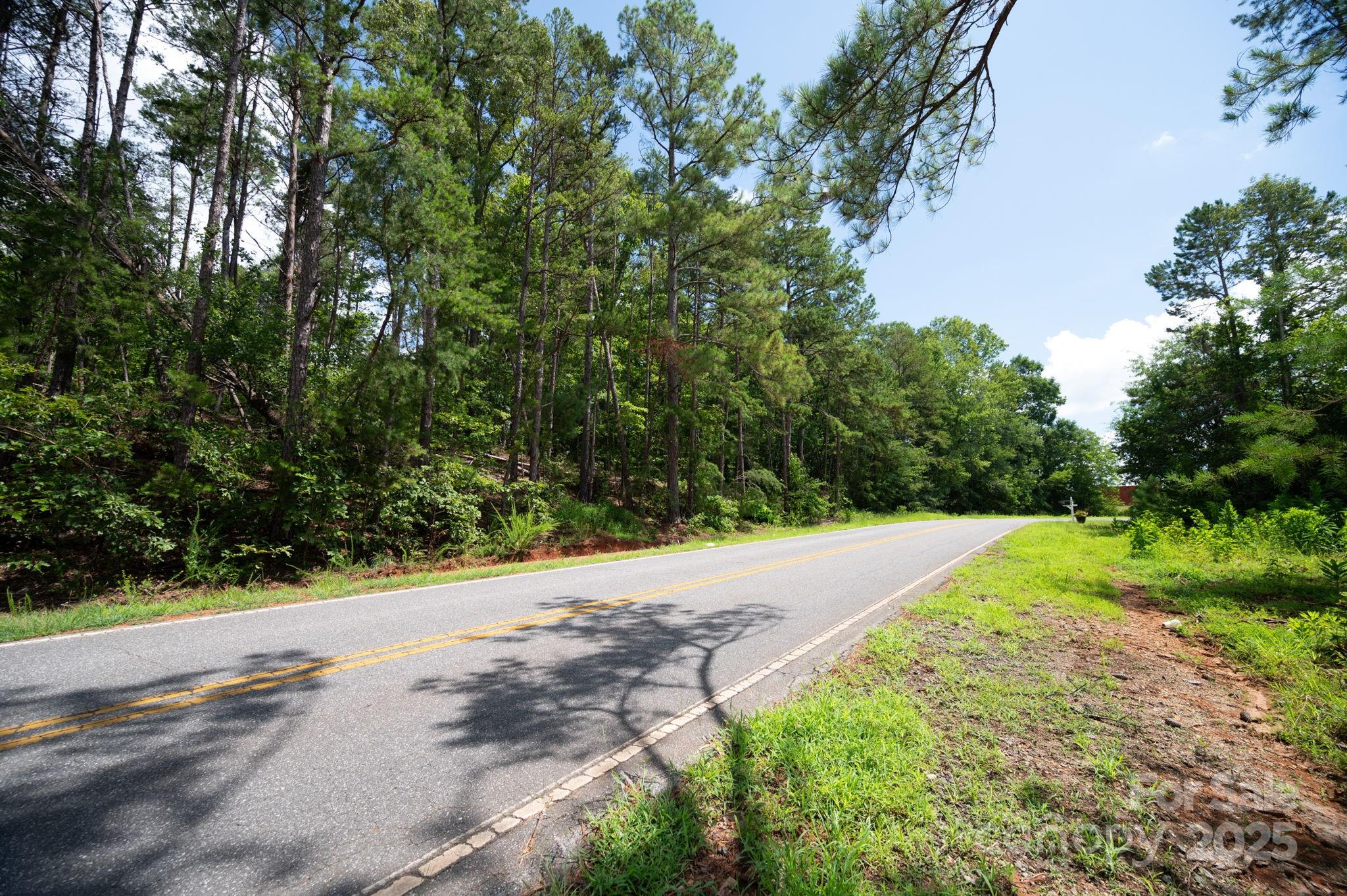 Lot 10 McDade Road Forest City, NC 28043 - Photo 5 of 11 a view of a yard with plants and trees beside of it