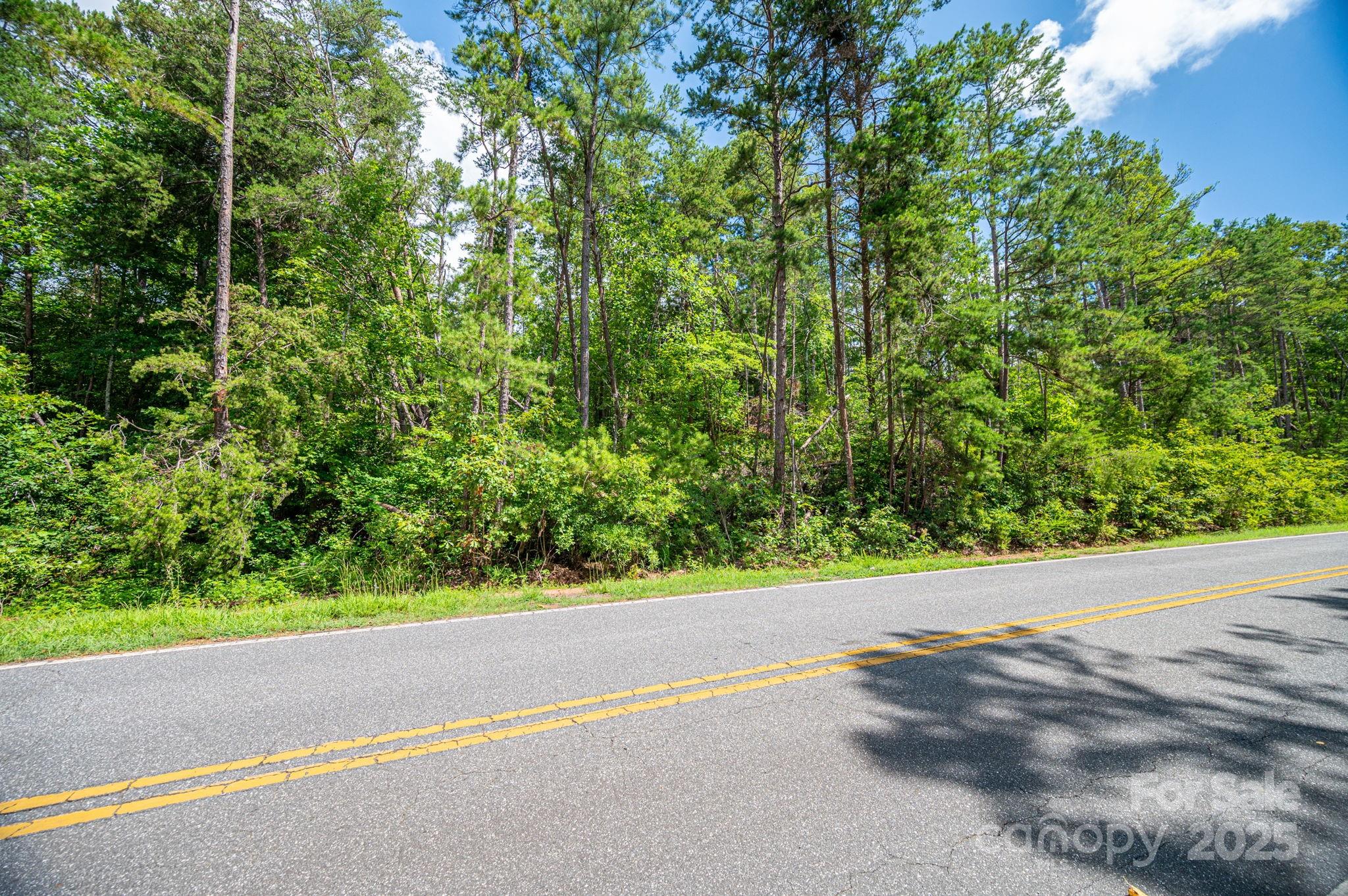 Lot 10 McDade Road Forest City, NC 28043 - Photo 6 of 11 a view of a road from a yard