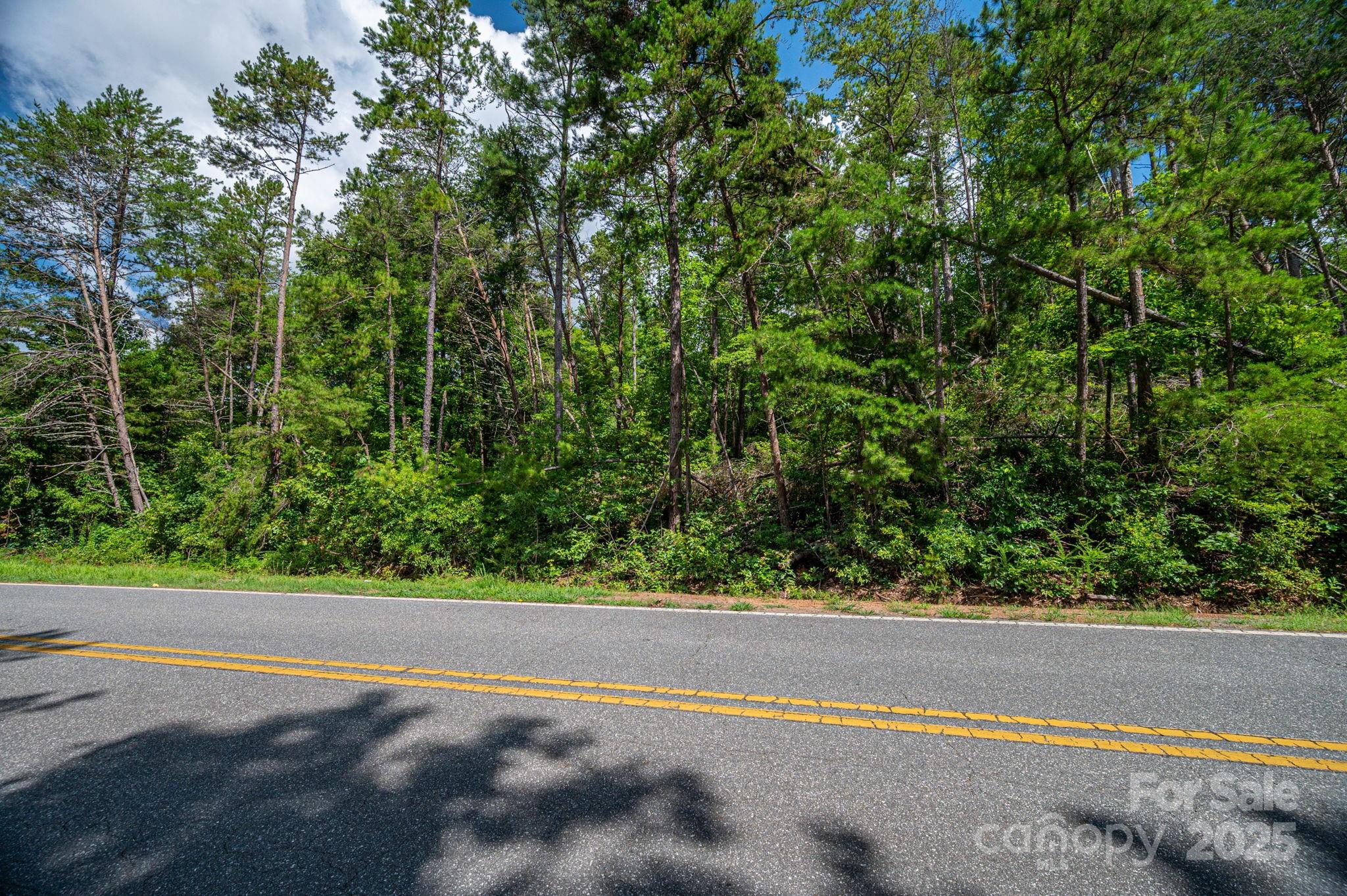 Lot 10 McDade Road Forest City, NC 28043 - Photo 8 of 11 a view of a yard with a tree