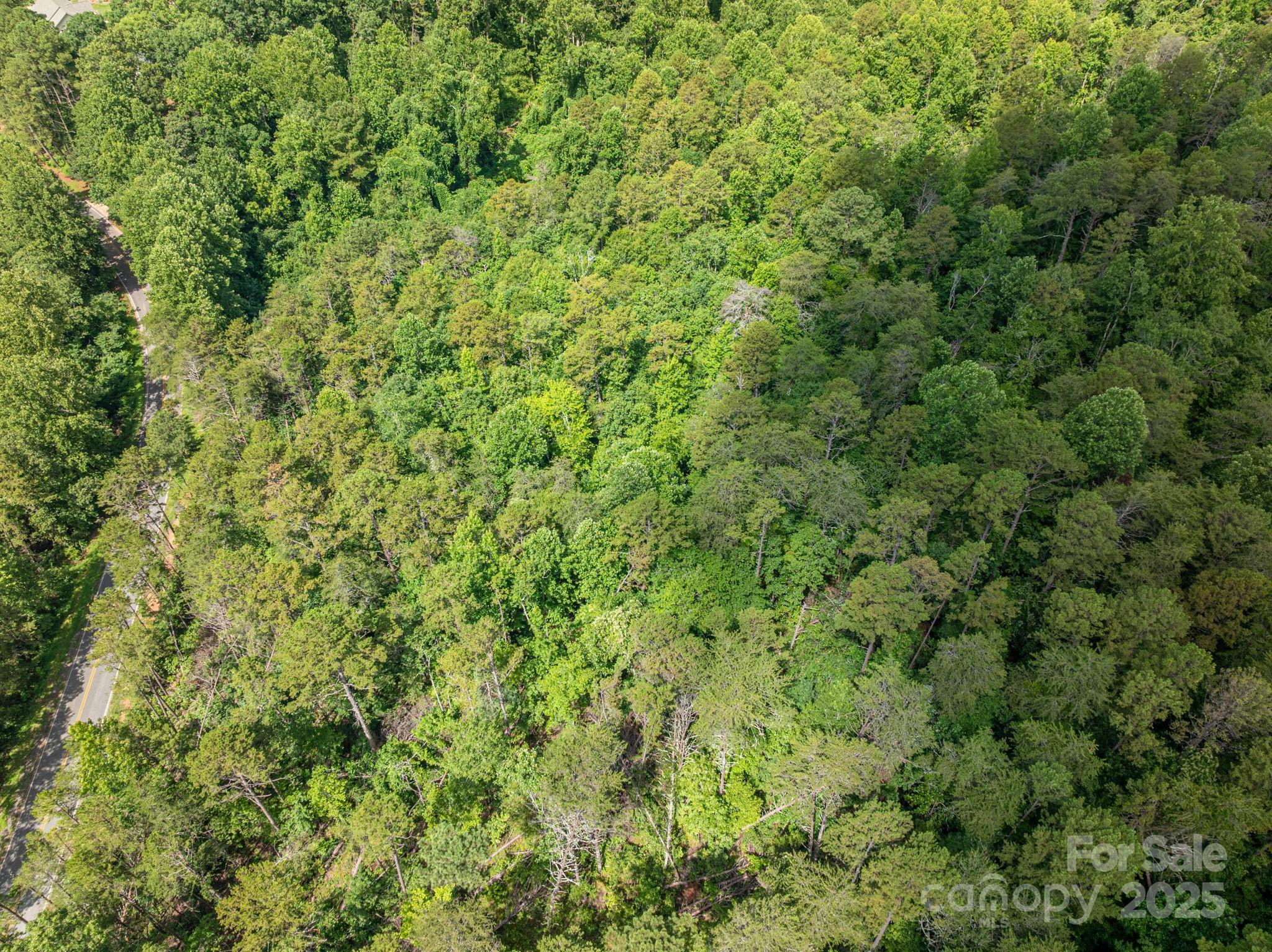 Lot 10 McDade Road Forest City, NC 28043 - Photo 9 of 11 a view of a big yard with plants and large trees