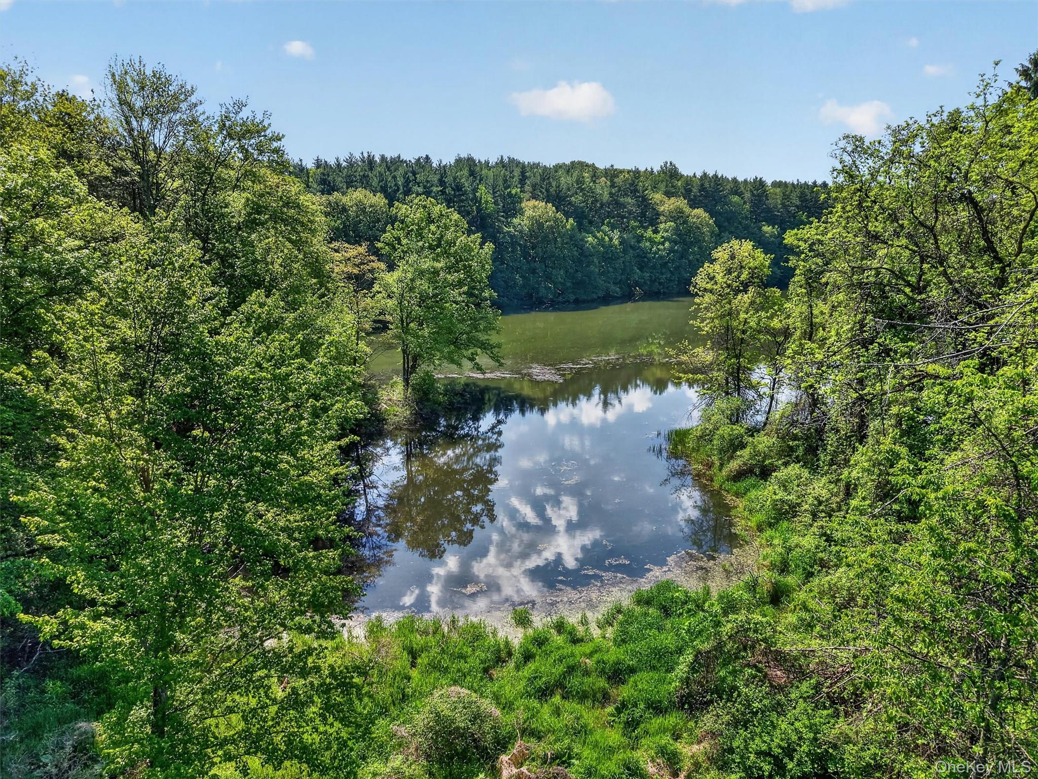 Moore's Hill Road New Windsor, NY 12553 - Photo 8 of 13