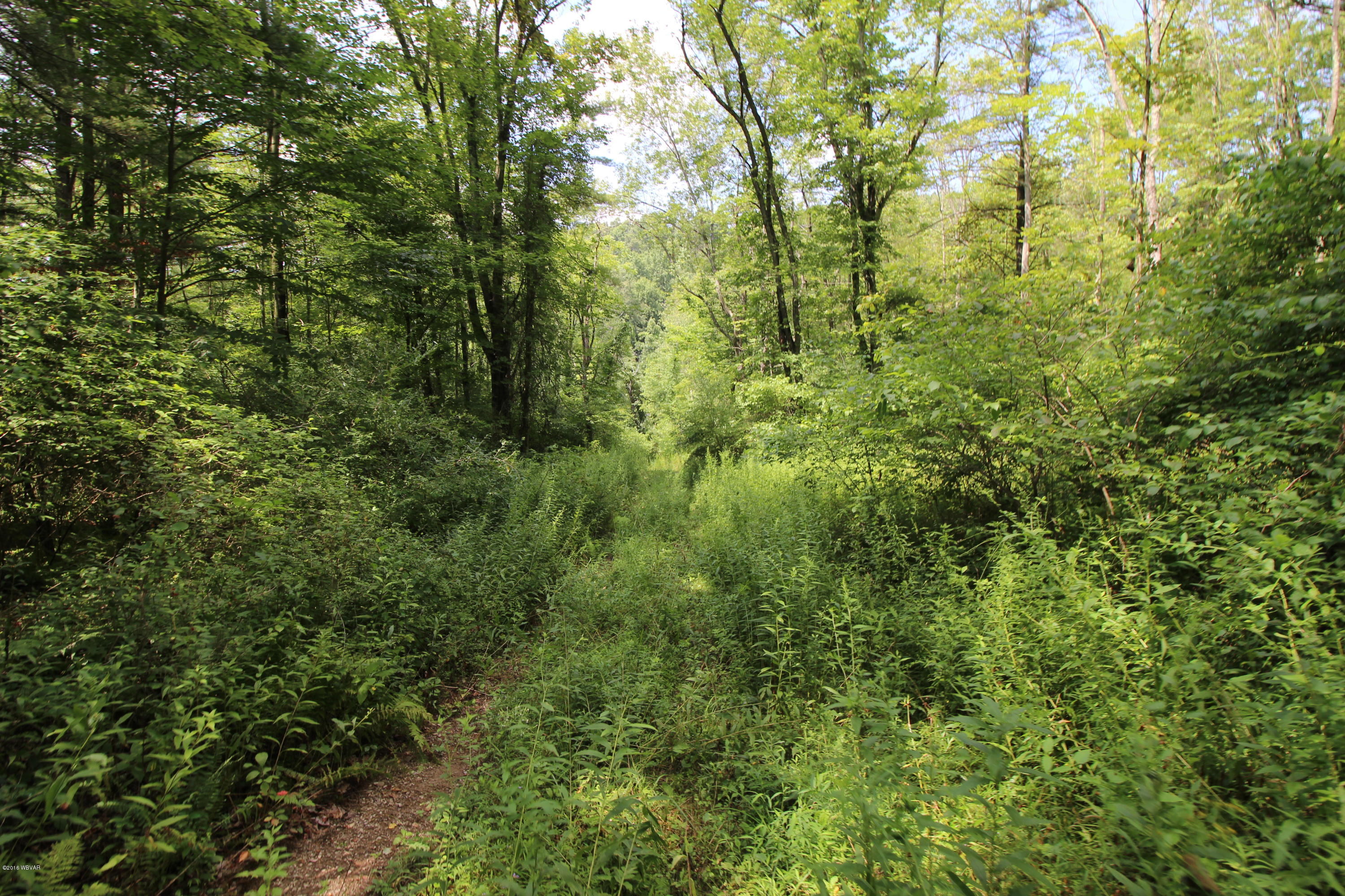0 Neufer Hollow Road Muncy, PA 17756 - Photo 1 of 1 Trails