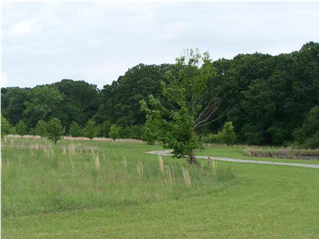 1475 Stokes Road Madison, MS 39110 - Photo 18 of 21 Entry