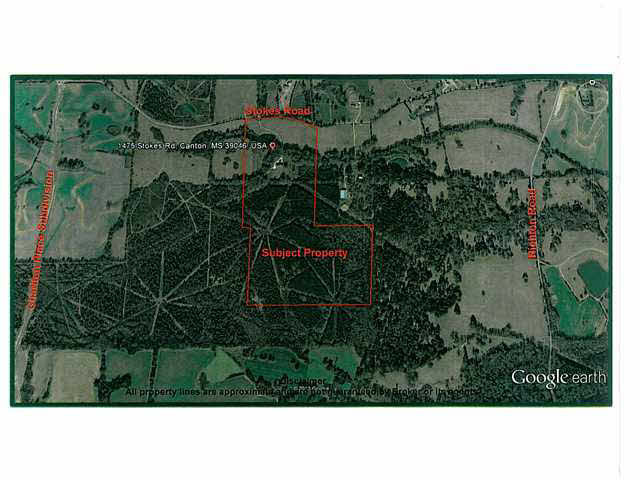 1475 Stokes Road Madison, MS 39110 - Photo 20 of 21 Aerial Photo