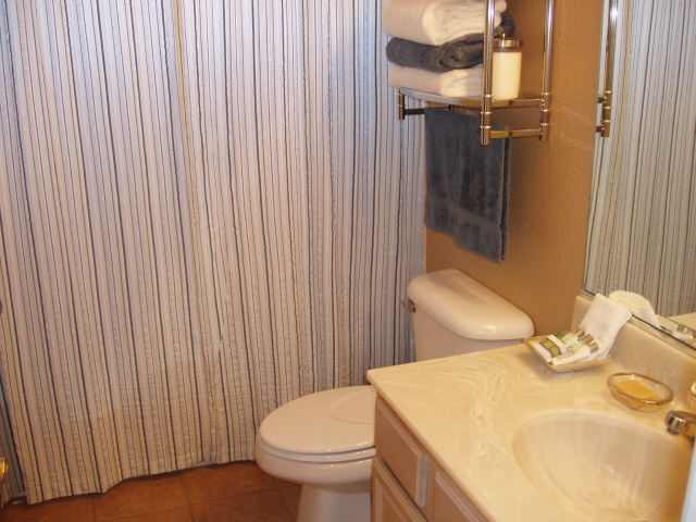 1930 Summer Star Road Reno, NV 89511 - Photo 8 of 9 a bathroom with a sink and toilet