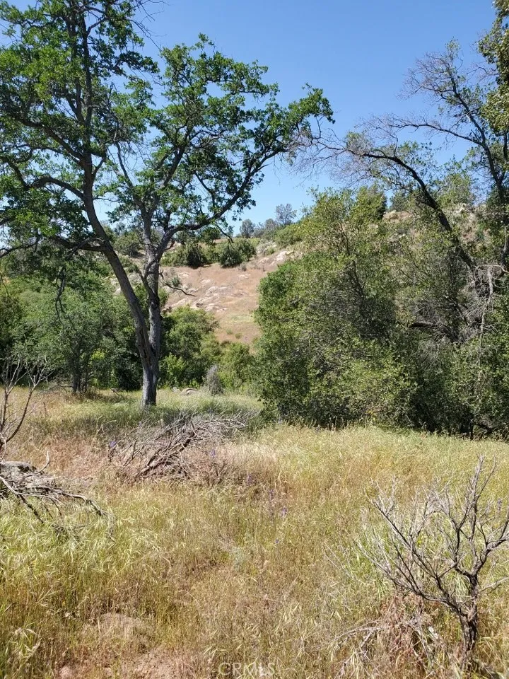 0 Ranger Cir Drive Coarsegold, CA 93614 - Photo 11 of 17