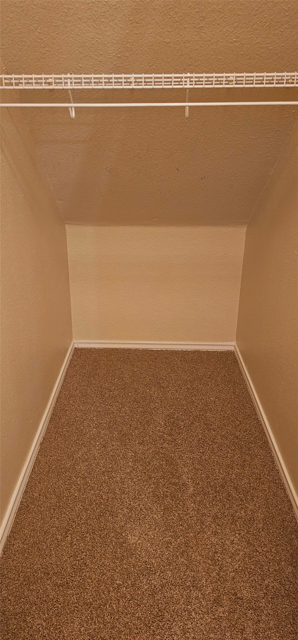 1840 Wallin Loop Round Rock, TX 78664 - Photo 16 of 17 The Harry Potter room for storage underneath the staris