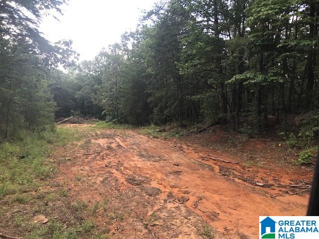 Mountain View Vance, AL 35490 - Photo 23 of 28