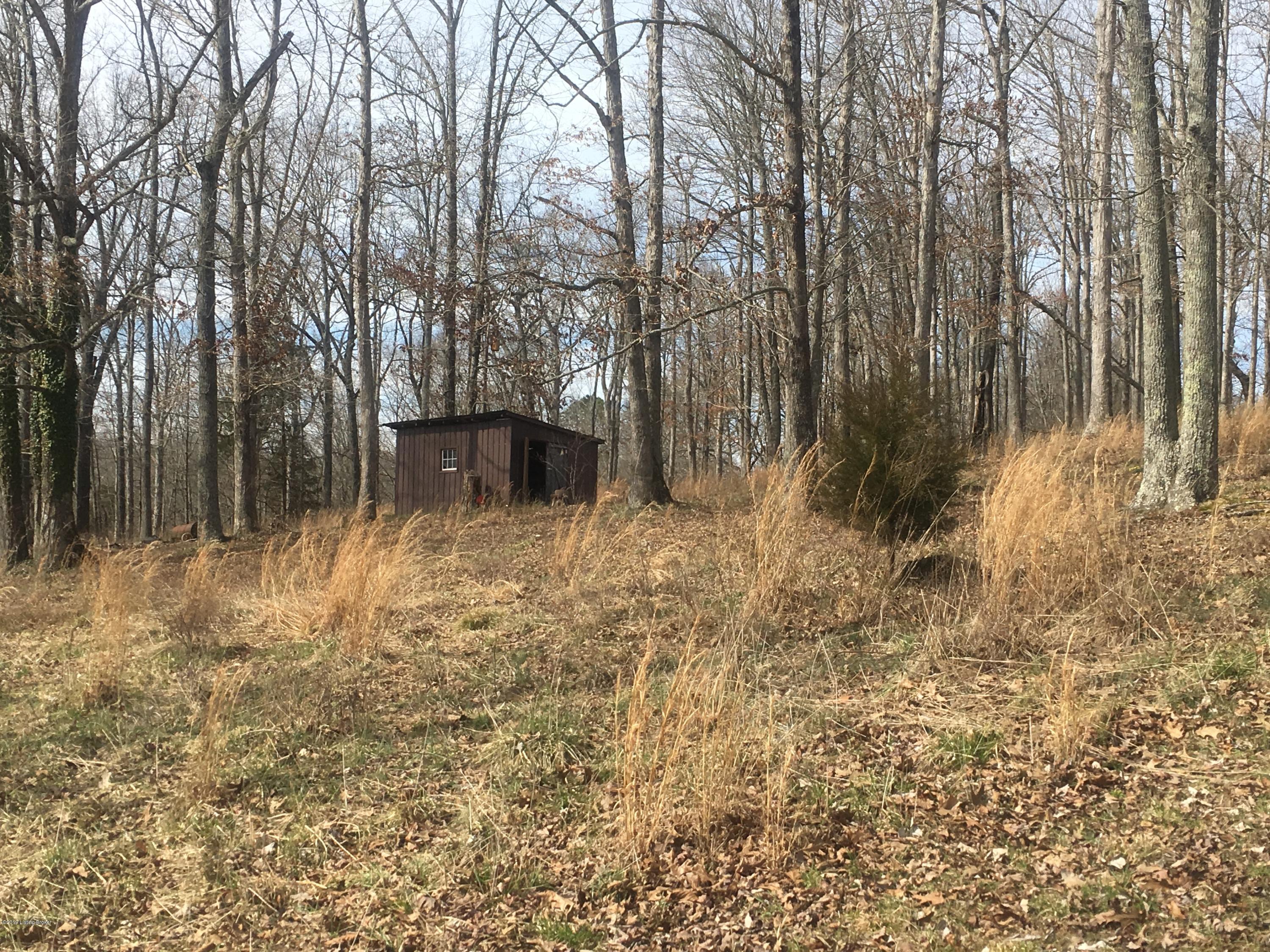 10246 Peonia Road Clarkson, KY 42726 - Photo 29 of 32 IMG_0746