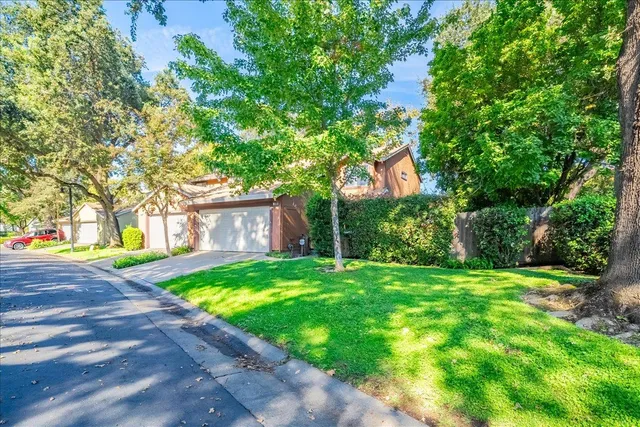 a backyard of a house with yard and tree