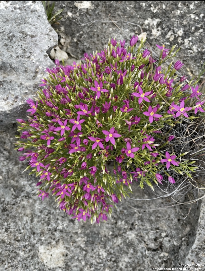 0 Rocksprings Del Rio, TX 78840 - Photo 19 of 41