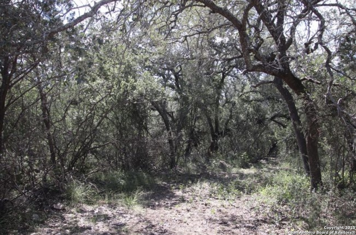 0 Rocksprings Del Rio, TX 78840 - Photo 31 of 41