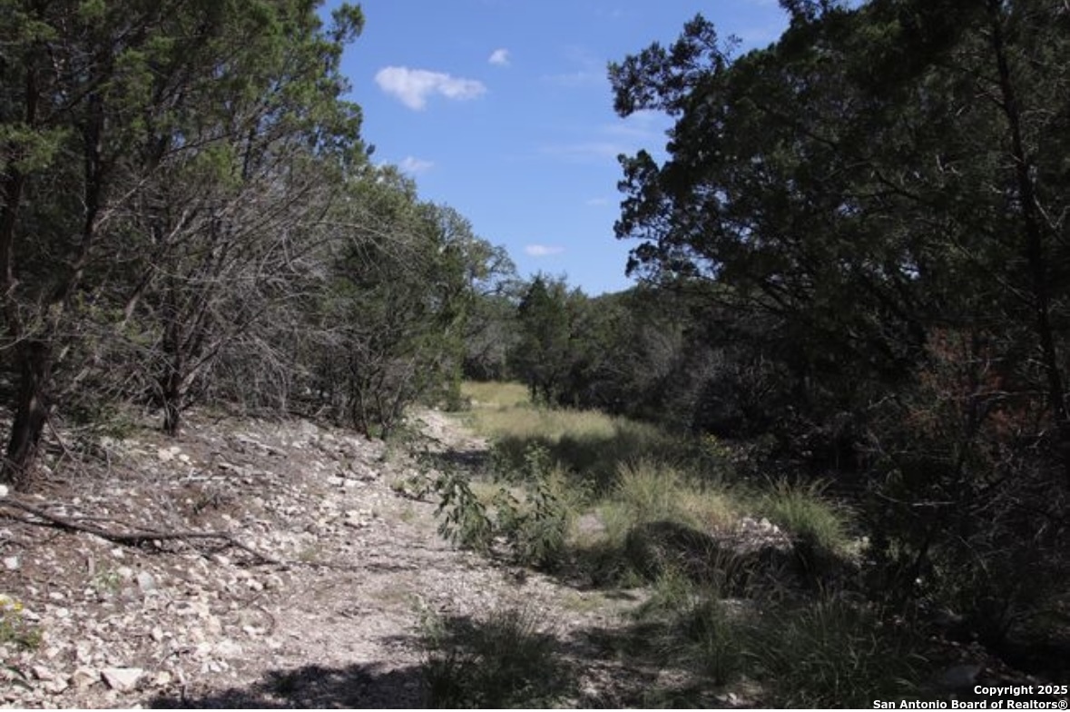 0 Rocksprings Del Rio, TX 78840 - Photo 33 of 41