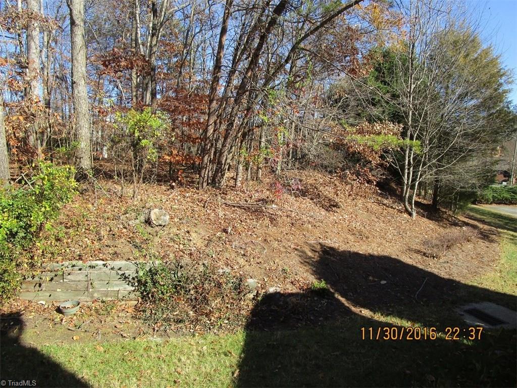 1704 Ternberry Road High Point, NC 27262 - Photo 20 of 21 Gallery Image 20