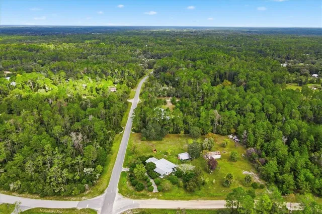 an aerial view of residential houses with outdoor space and trees