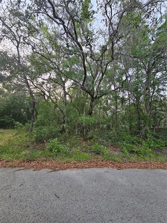 0 Doaks Street New Port Richey, FL 34654 - Photo 1 of 2 Gallery Image 1