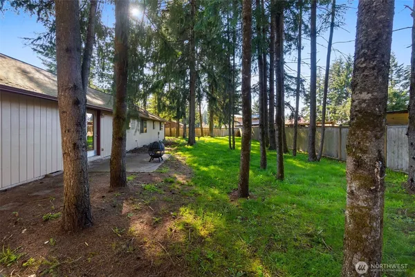 a view of backyard with tree