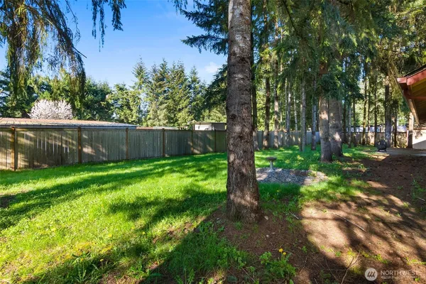 a view of backyard with wooden fence and large trees