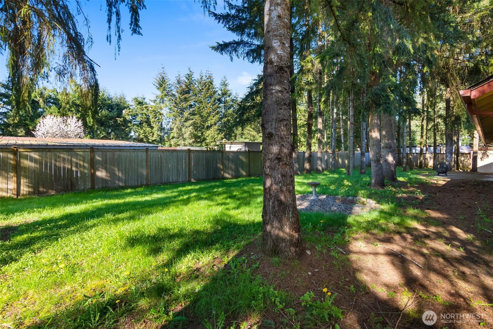 6107 189th Loop Southwest Rochester, WA 98579 - Photo 32 of 38 a view of backyard with tree