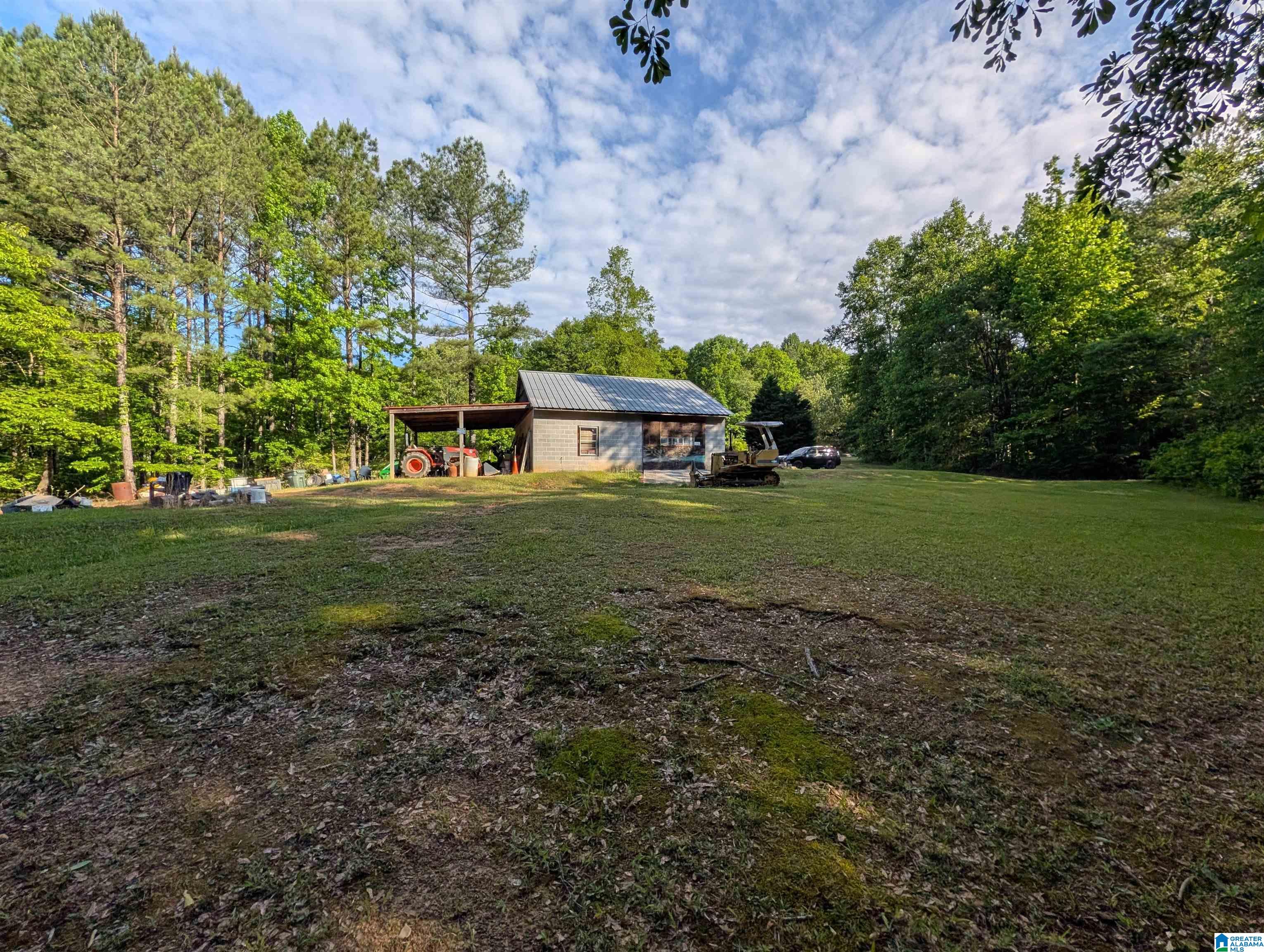 4561 Cook Springs Road Pell City, AL 35125 - Photo 6 of 20