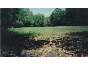 2325 Bible Chapel Road Midway, TN 37809 - Photo 6 of 6 Photo 6
