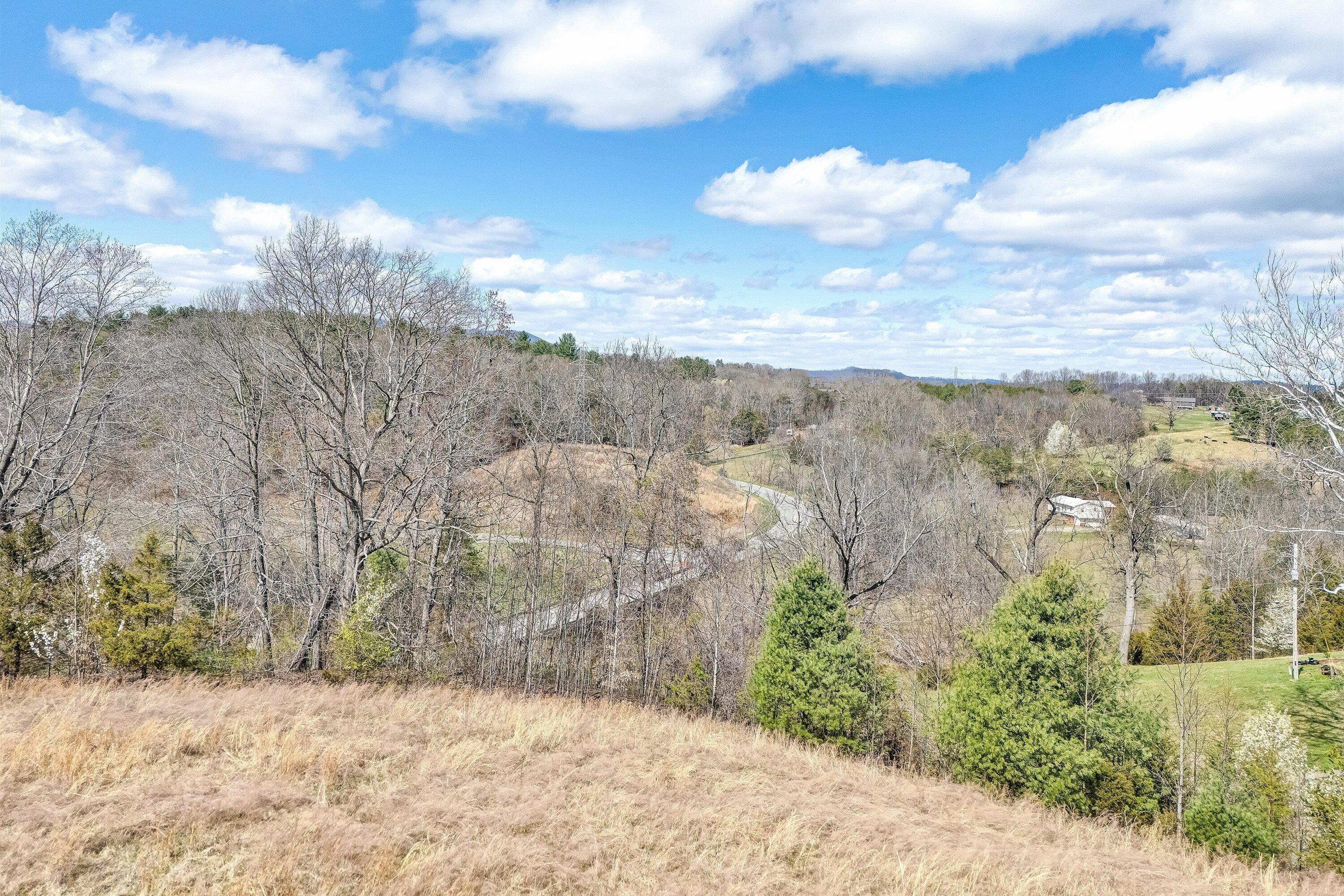 Lot 1 Springhouse Lane Rocky Mount, VA 24151 - Photo 11 of 14 a view of a yard