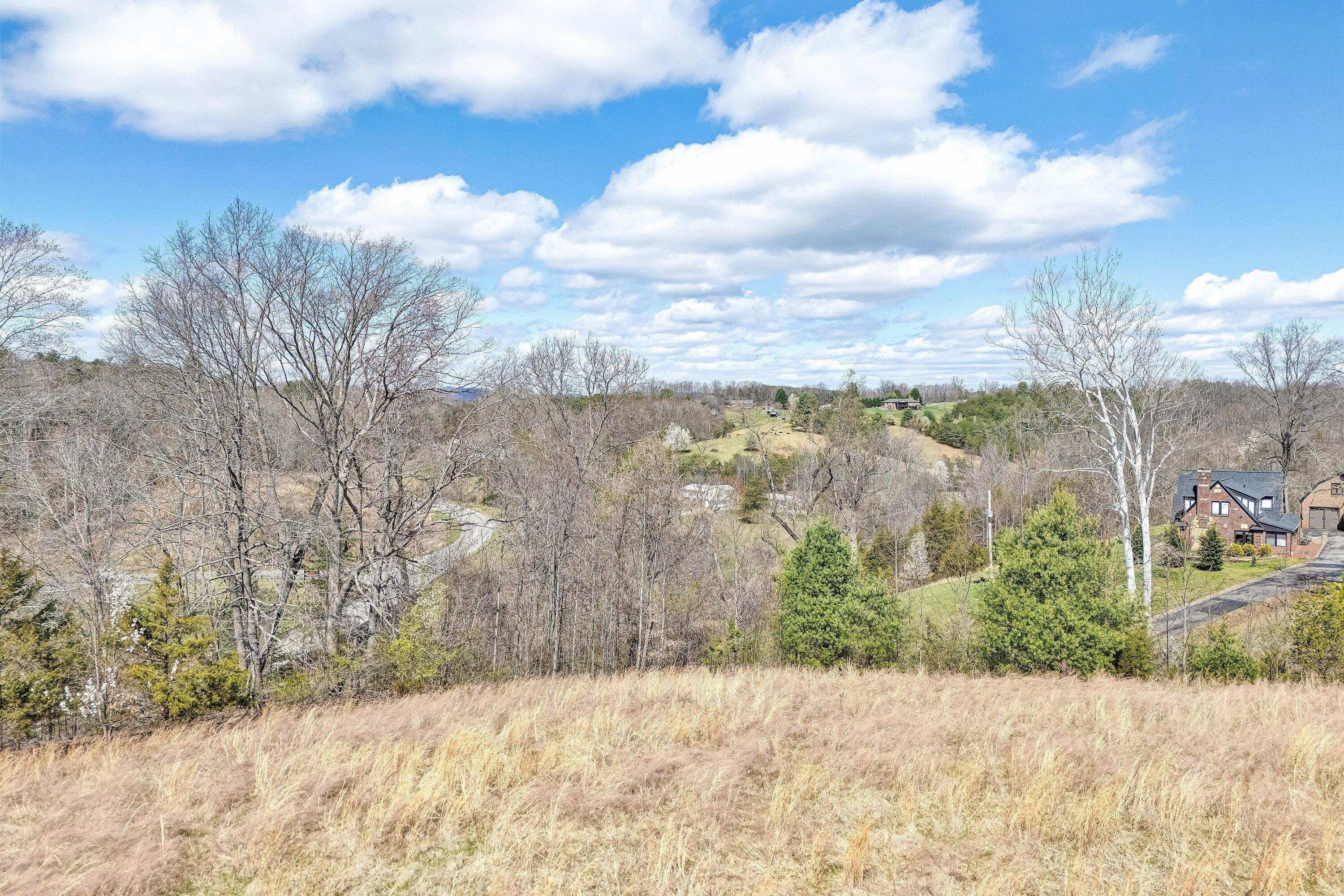 Lot 1 Springhouse Lane Rocky Mount, VA 24151 - Photo 12 of 14 a view of a yard with wooden fence