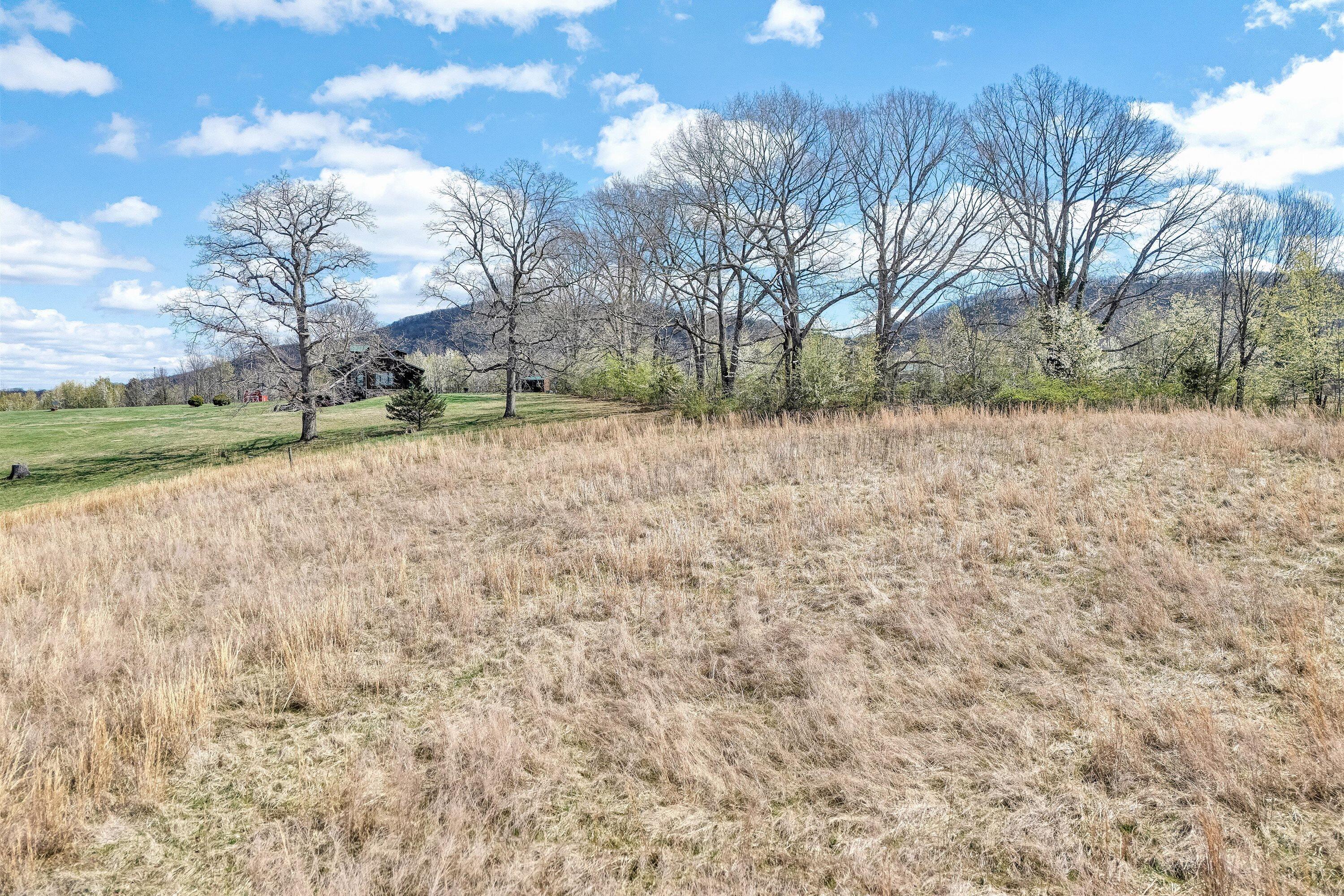 Lot 1 Springhouse Lane Rocky Mount, VA 24151 - Photo 13 of 14 a view of a yard with trees