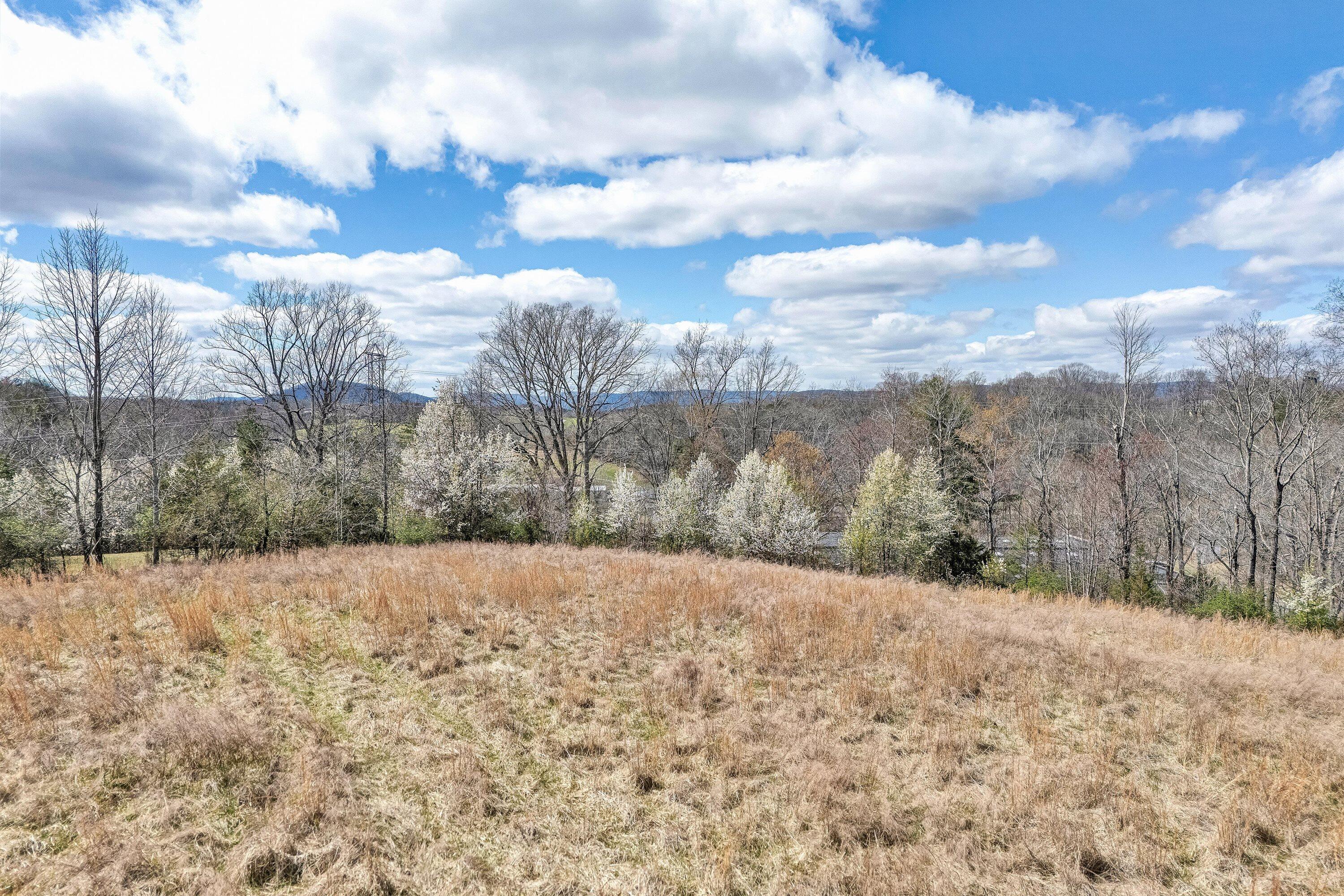 Lot 1 Springhouse Lane Rocky Mount, VA 24151 - Photo 14 of 14