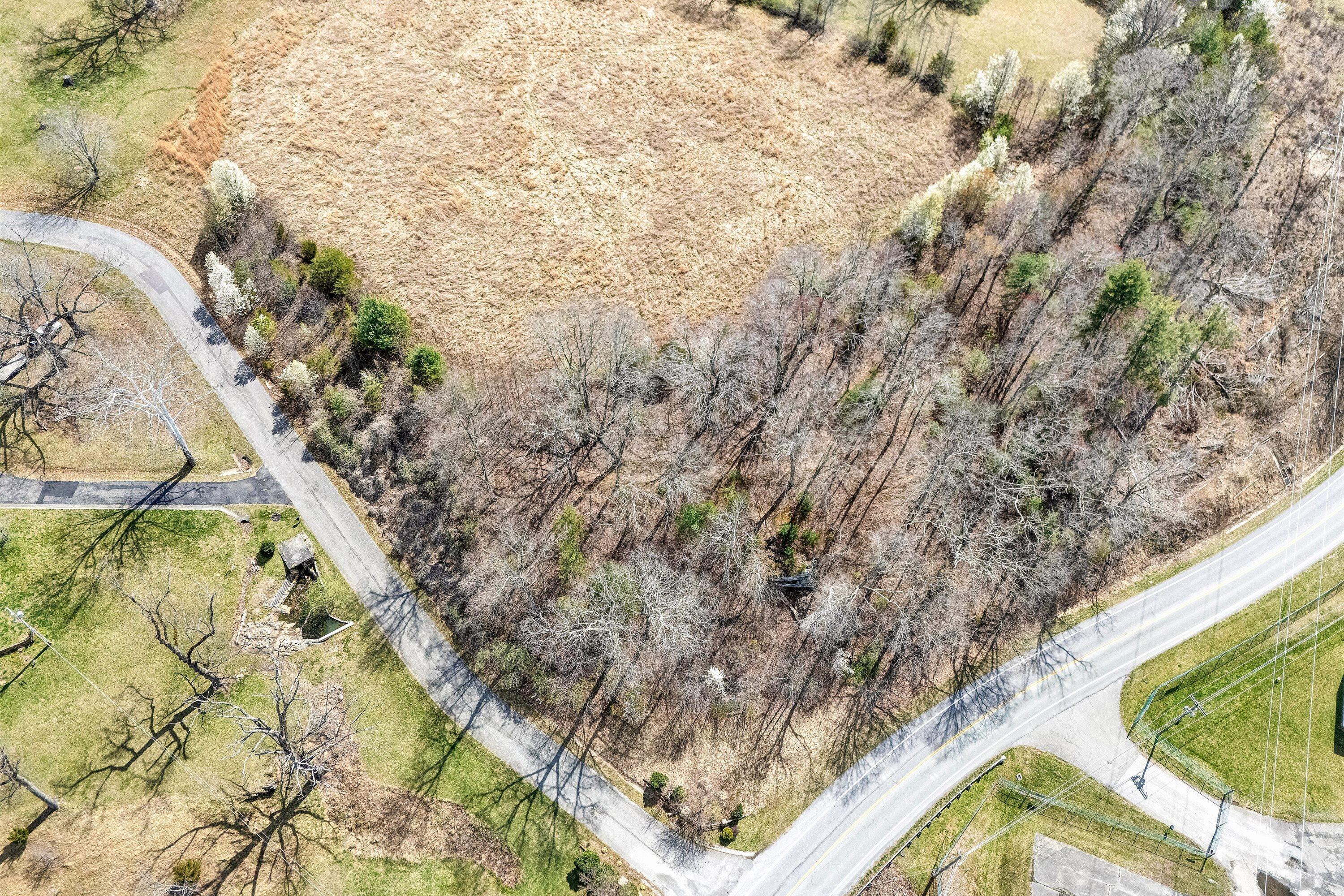 Lot 1 Springhouse Lane Rocky Mount, VA 24151 - Photo 4 of 14 a view of tall trees