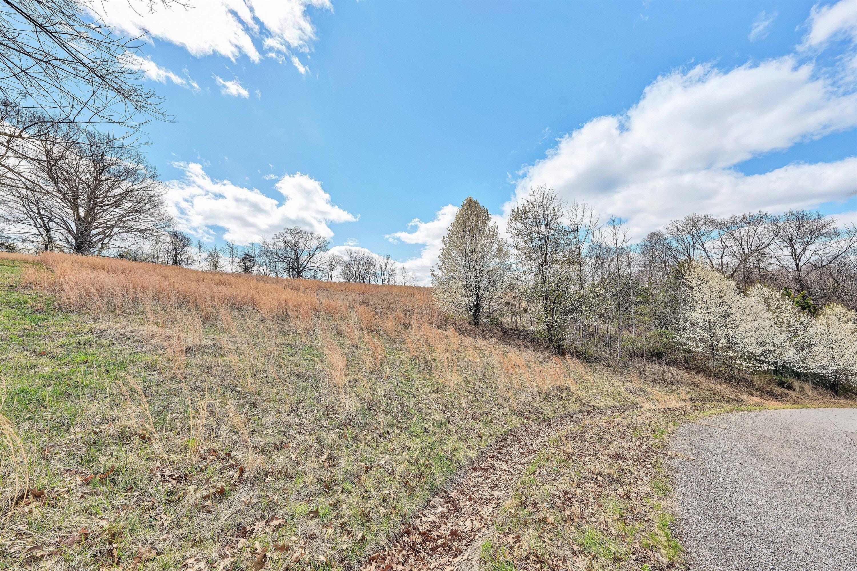 Lot 1 Springhouse Lane Rocky Mount, VA 24151 - Photo 7 of 14 a view of a yard with trees in the background