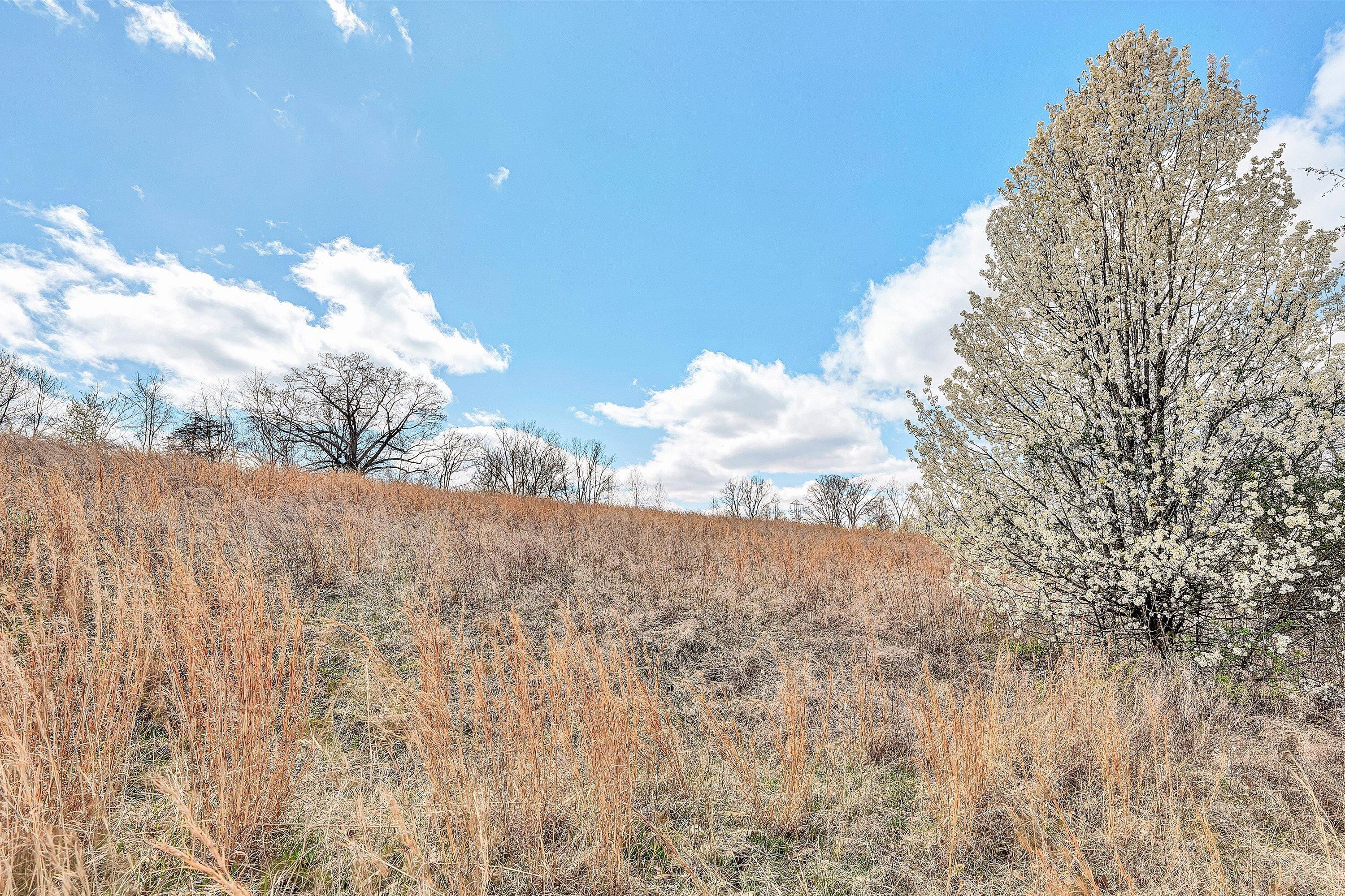 Lot 1 Springhouse Lane Rocky Mount, VA 24151 - Photo 8 of 14 a view of a dry yard