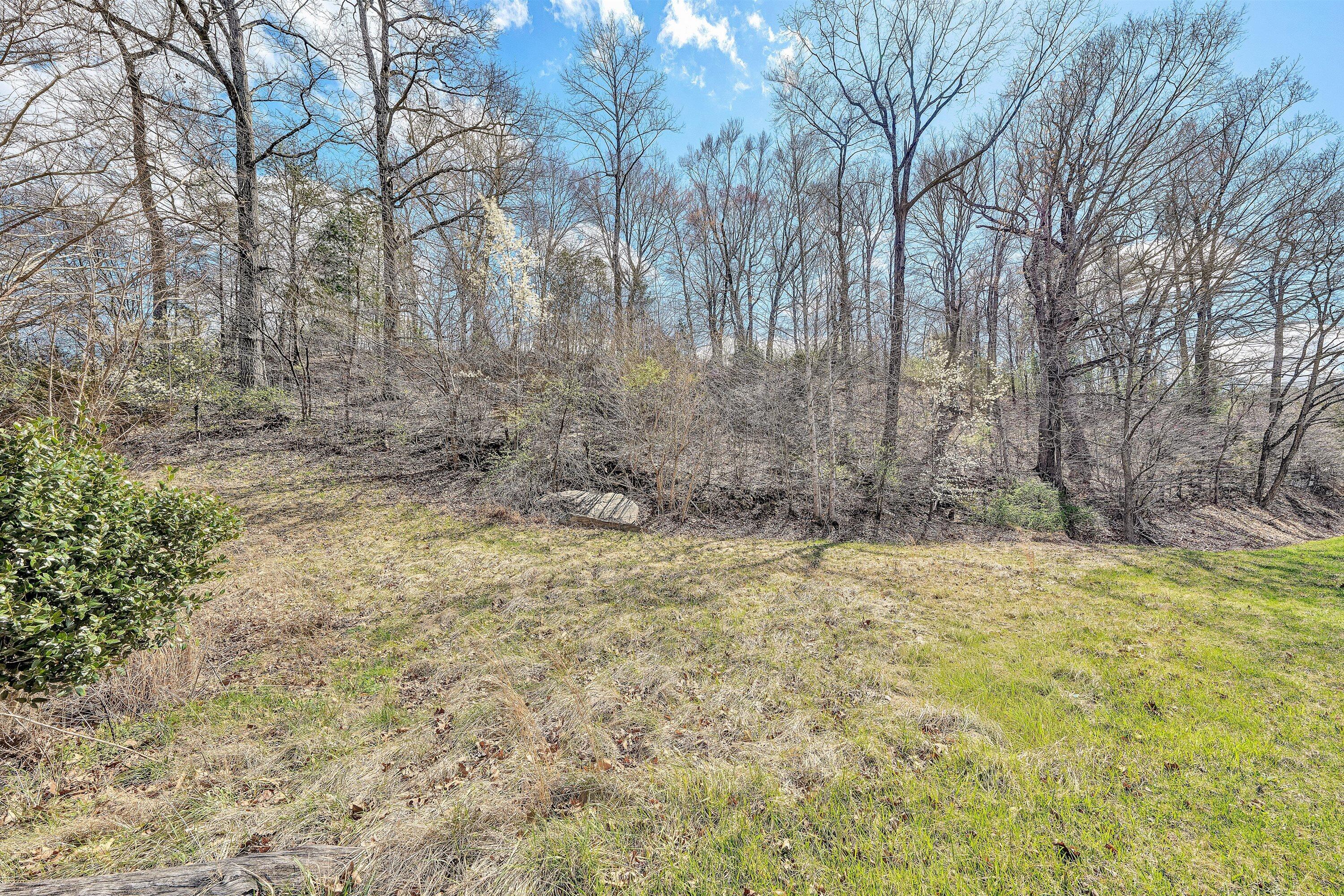 Lot 1 Springhouse Lane Rocky Mount, VA 24151 - Photo 9 of 14 a view of empty room with tree s