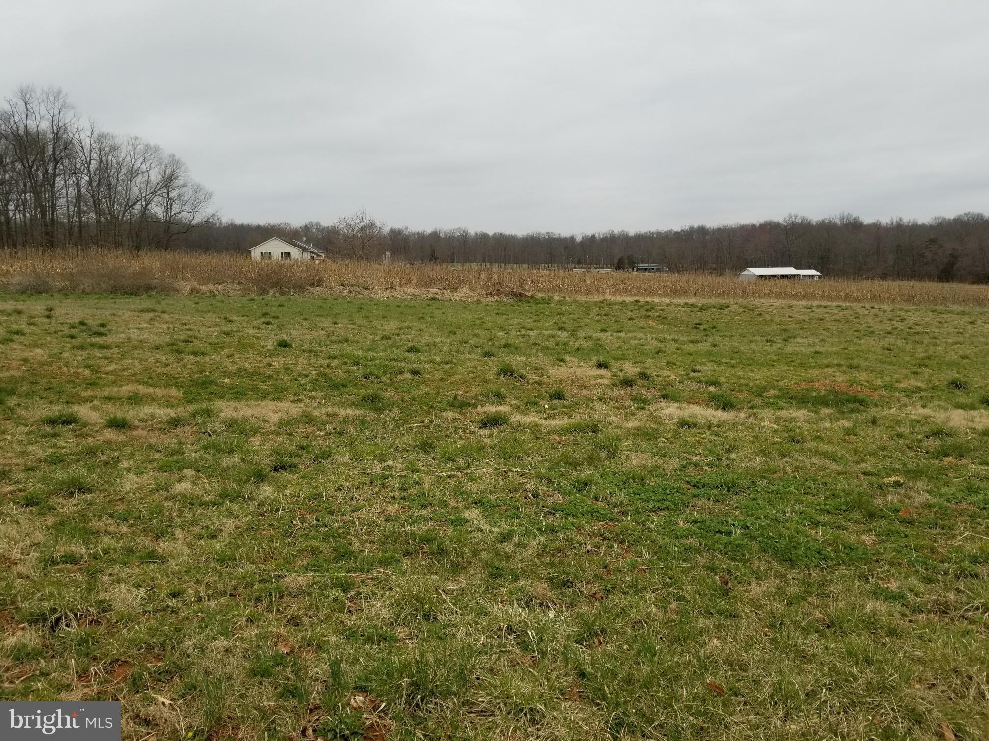 6464 Balls Mill Road Midland, VA 22728 - Photo 3 of 4 Exterior (Front)