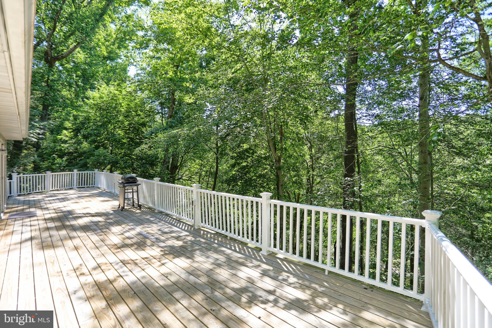 32 Codjus Drive Rising Sun, MD 21911 - Photo 44 of 49