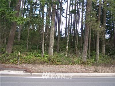 -1.81acre Northcliff Road Shelton, WA 98584 - Photo 1 of 1 Gallery Image 1