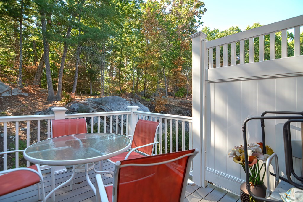 14 Pine View, Unit 14 Millis, MA 02054 - Photo 28 of 34