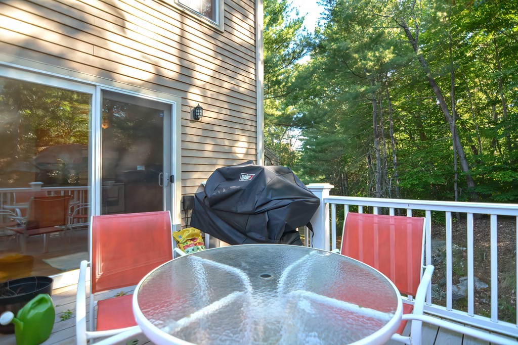 14 Pine View, Unit 14 Millis, MA 02054 - Photo 29 of 34