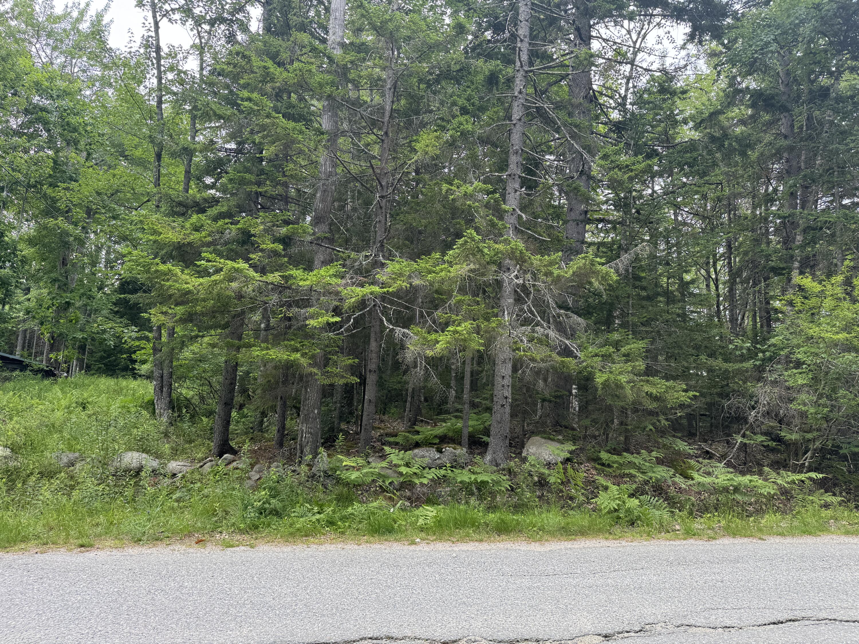 1-108 Oak Point Road Trenton, ME 04605 - Photo 2 of 6 IMG_1584(1)