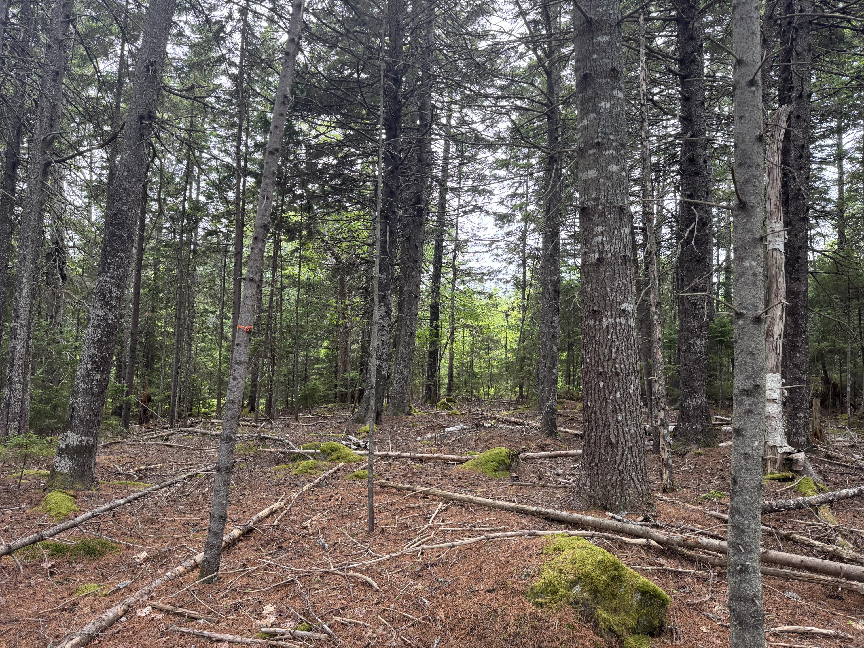 1-108 Oak Point Road Trenton, ME 04605 - Photo 3 of 6 IMG_1581