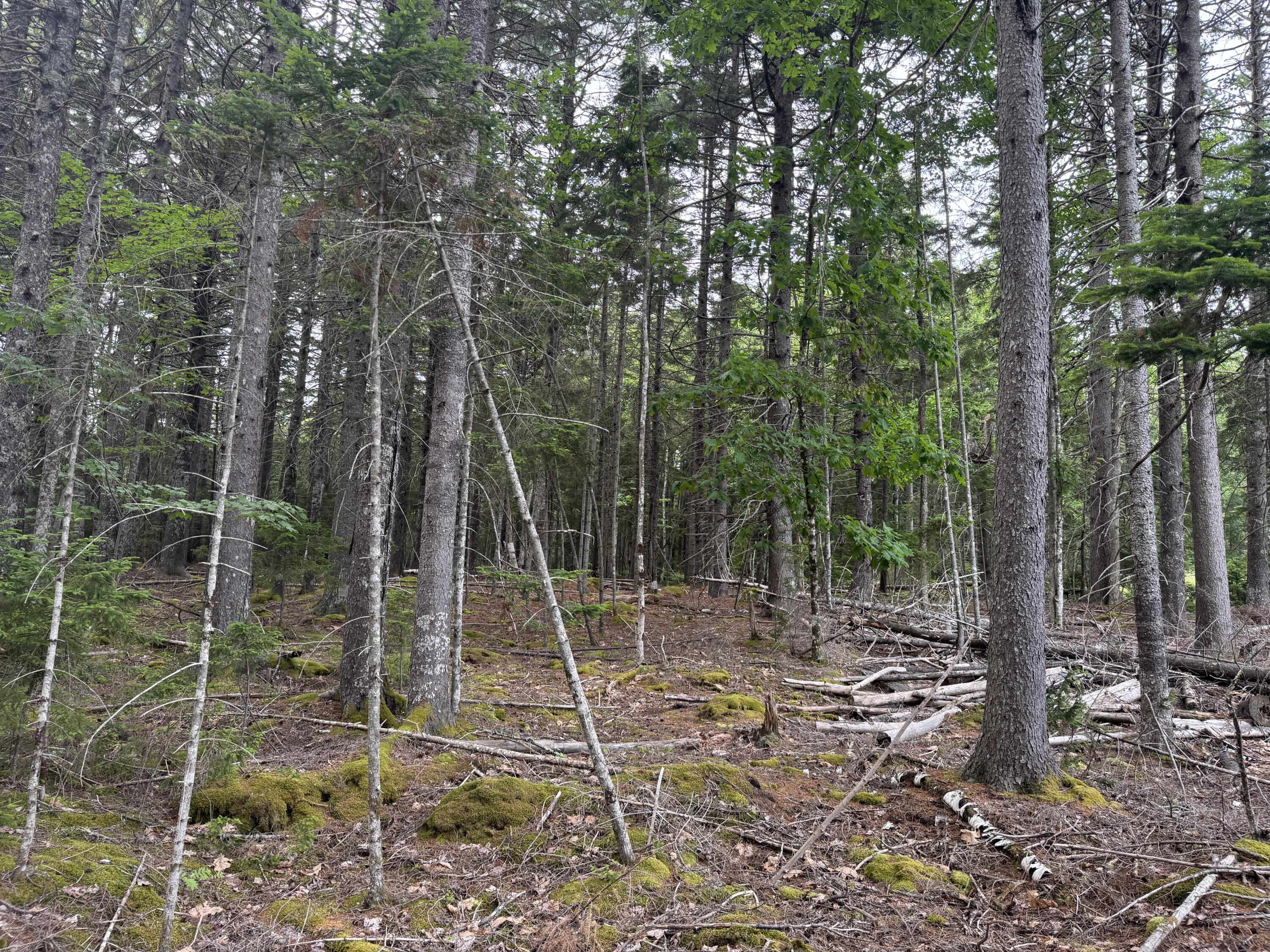 1-108 Oak Point Road Trenton, ME 04605 - Photo 5 of 6 IMG_1580